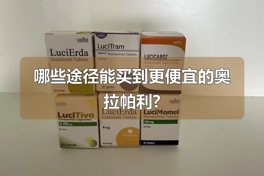 哪些途径能买到更便宜的奥拉帕利?